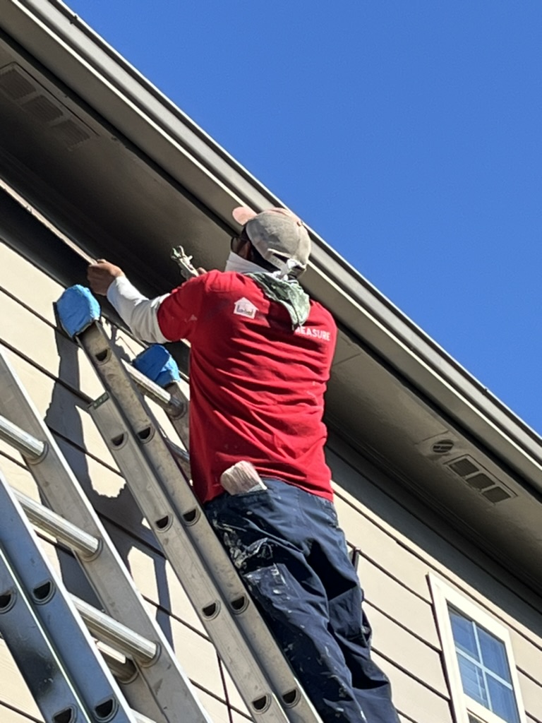 Exterior House Painting in Hoschton
